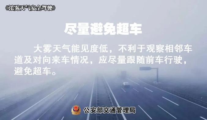 霧天安全行車_大霧天氣駕駛技巧_出行提示