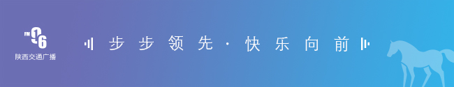 限行_限行被拍怎么處罰_限行北京