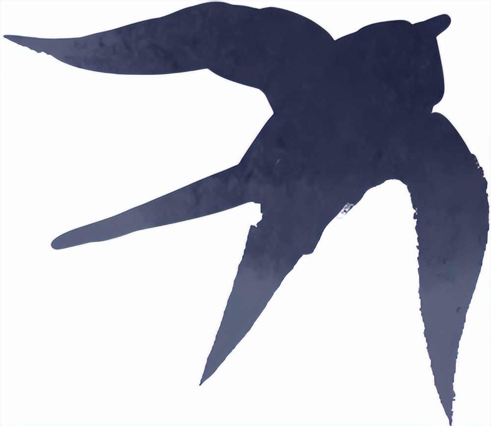 出行提示_秋季雨霧行車(chē)安全_雨霧天氣駕駛技巧