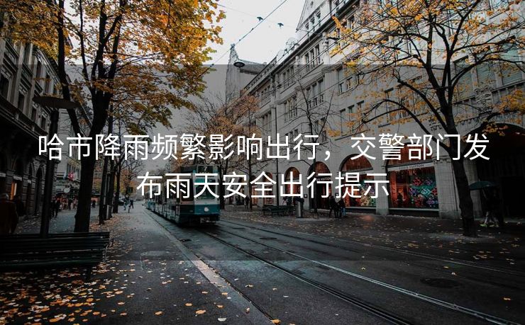 哈市降雨頻繁影響出行，交警部門發(fā)布雨天安全出行提示