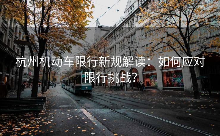 杭州機(jī)動(dòng)車限行新規(guī)解讀：如何應(yīng)對(duì)限行挑戰(zhàn)？