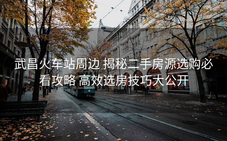 武昌火車(chē)站周邊 揭秘二手房源選購(gòu)必看攻略 高效選房技巧大公開(kāi)